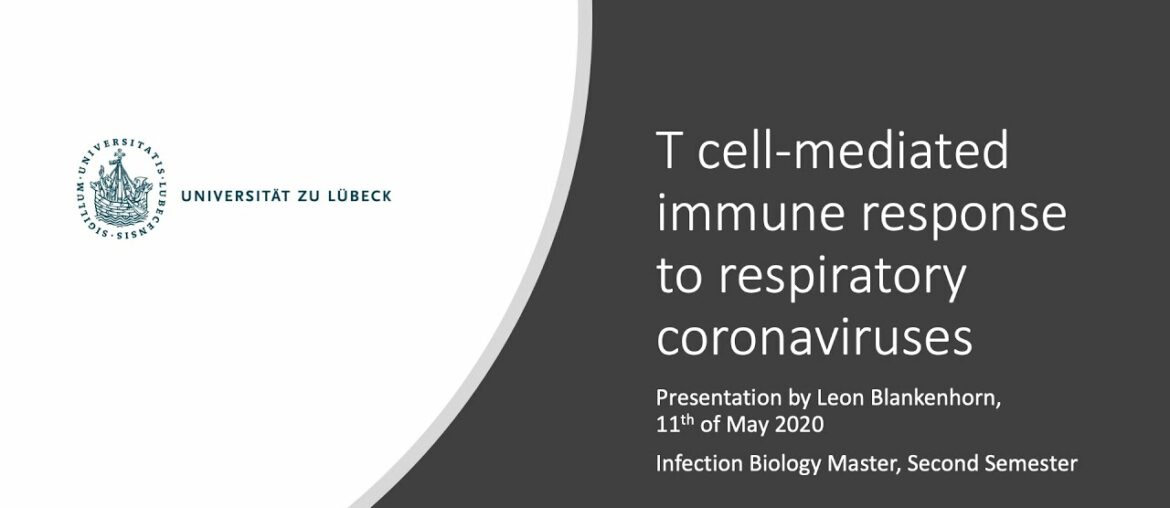 Presentation on the T Cell Immune Response to Respiratory Coronaviruses