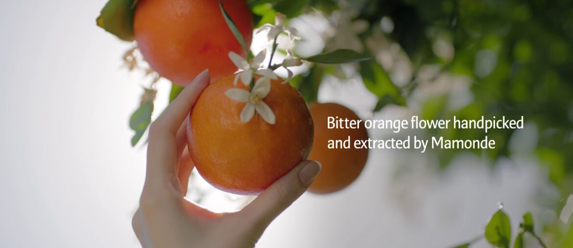 Mamonde Vital Vitamin Essence