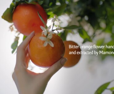 Mamonde Vital Vitamin Essence