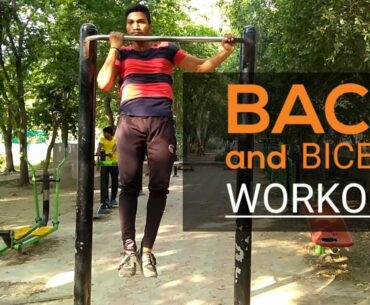 back and biceps workout no weight