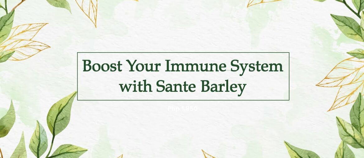 Boost Your Immune System: How Sante Barley Can Help You Against Covid-19?
