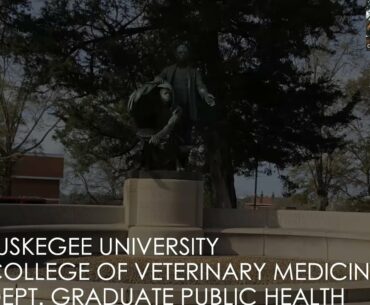 COVID-19 Race Data: What Does It Mean?