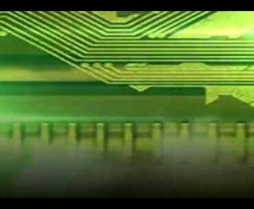 Miracle Vitamin D - Fern D