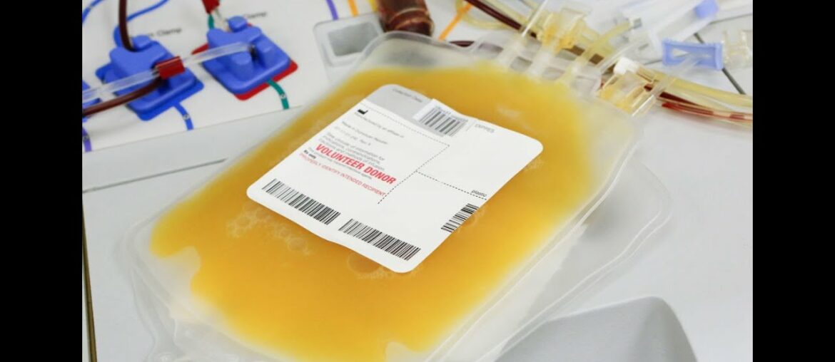 Plasma Therapy (Can Plasma Therapy Cure COVID-19 ?)