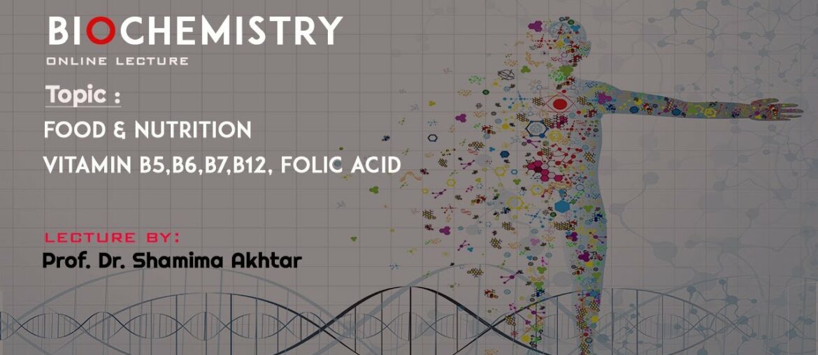 Vitamin B5,B6,B7,B12, Folic Acid | Food and Nutrition | Online Lecture