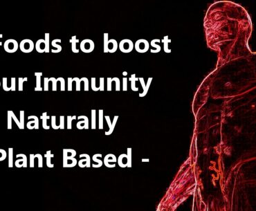 12 Foods to boost your Immunity Naturally - Plant Based Food
