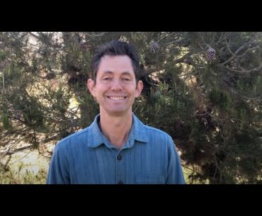 Action of the Week - Vitamin C