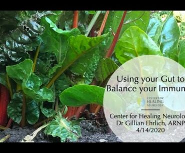 Using the Gut to Boost Immunity, for COVID-19 and Beyond