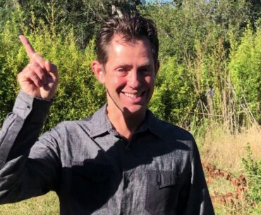 Action of the Week - Vitamin D