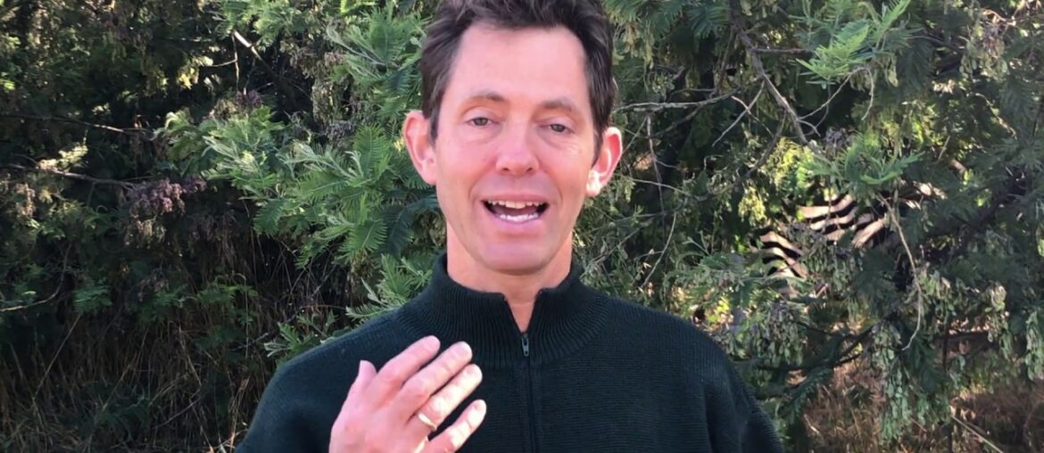 Action of the Week - Immune-Supporting Herbs & Spices