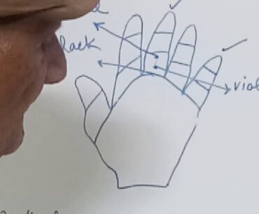 To enhance immunity against Corona Virus by colour therapy