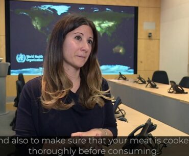 WHO: Coronavirus - questions and answers (Q&A)