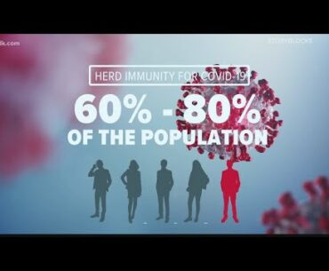 What is herd immunity and is it the solution to the coronavirus pandemic?