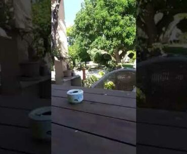 5/5 --- Easy Weight Loss & sun energy loves your metabolism