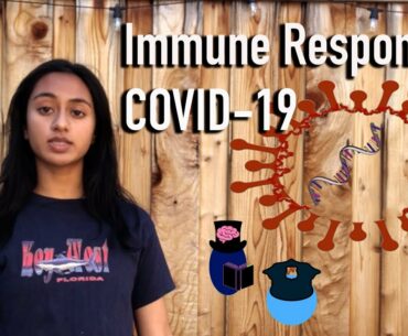 COVID 19: A Journey Through the Immune System | Breakthrough Junior Challenge 2020