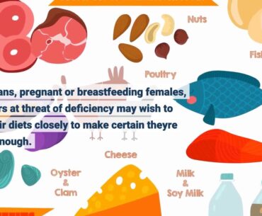 5 Simple Techniques For Vitamin B12 Rich Foods for Vegetarians, Non Vegetarians