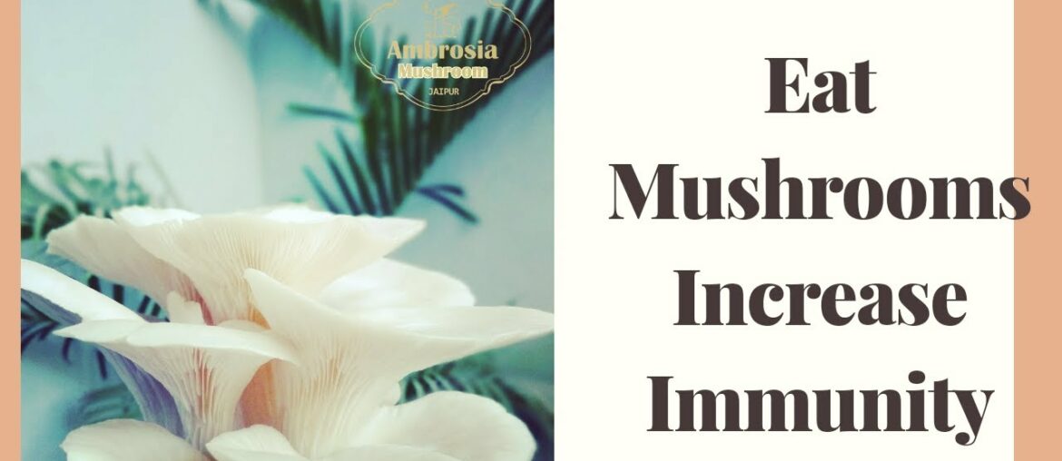 Increase Your #Immunity by eating #Mushrooms | Eat #Oyster Mushrooms stay #Healthy Immunity Booster