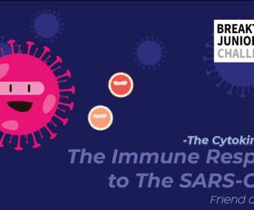 Breakthrough Junior Challenge 2020 | The Fight Against COVID-19 - Immune Response