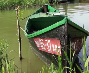 “Herd Immunity” and Response to COVID-19