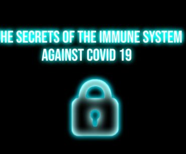 How the immune system reacts to Covid 19 || Breakthrough junior challenge