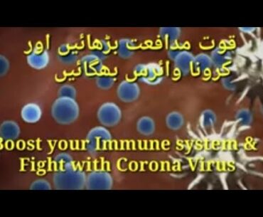 Boost your Immune System to fight Corona Virus (Quwate Mudafet barhaye)