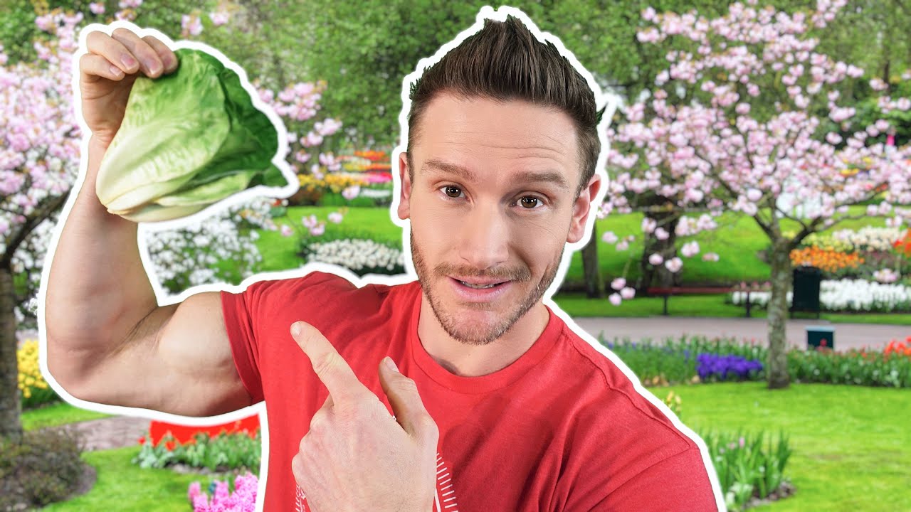 Best 5 Greens to Eat While Low Carb