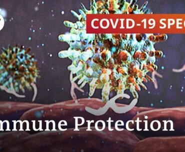How important is the immune system in protecting against Covid-19? | COVID-19 Special