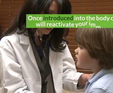 healthy immune system - Immune Defence Review