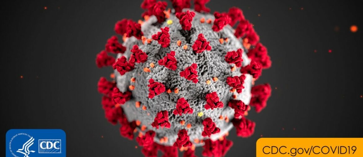 1v1- COVID-19 VS YOUR WEAK IMMUNE SYSTEM (KUNG FLU)