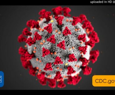 1v1- COVID-19 VS YOUR WEAK IMMUNE SYSTEM (KUNG FLU)