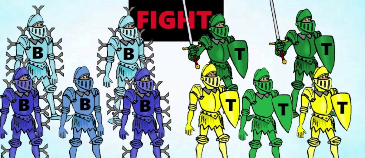 COVID-19 and our Immune System - 2020 Breakthrough Junior Challenge