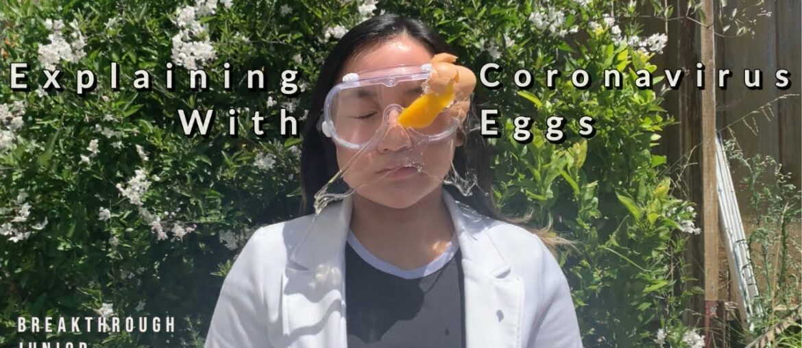 Breakthrough Junior Challenge 2020 | Explaining Coronavirus With Eggs