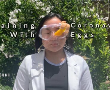Breakthrough Junior Challenge 2020 | Explaining Coronavirus With Eggs