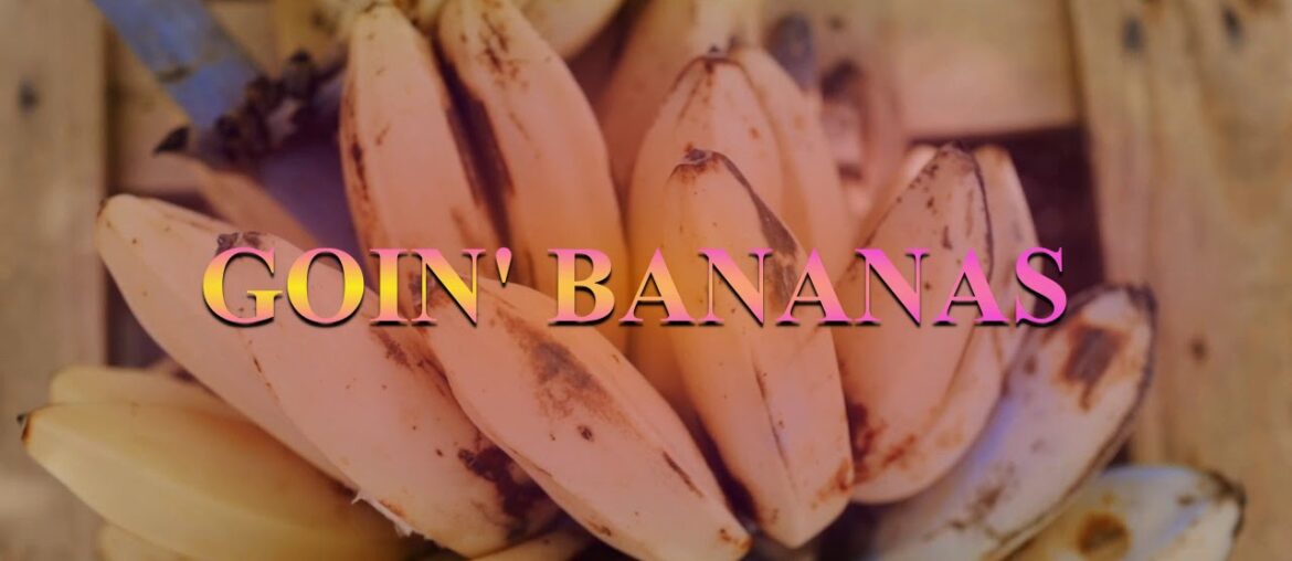Eating Bananas source of potassium