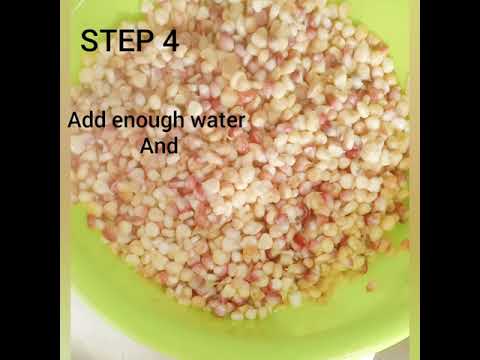 How to make Ga Kenkey - nutrition facts that will shock you