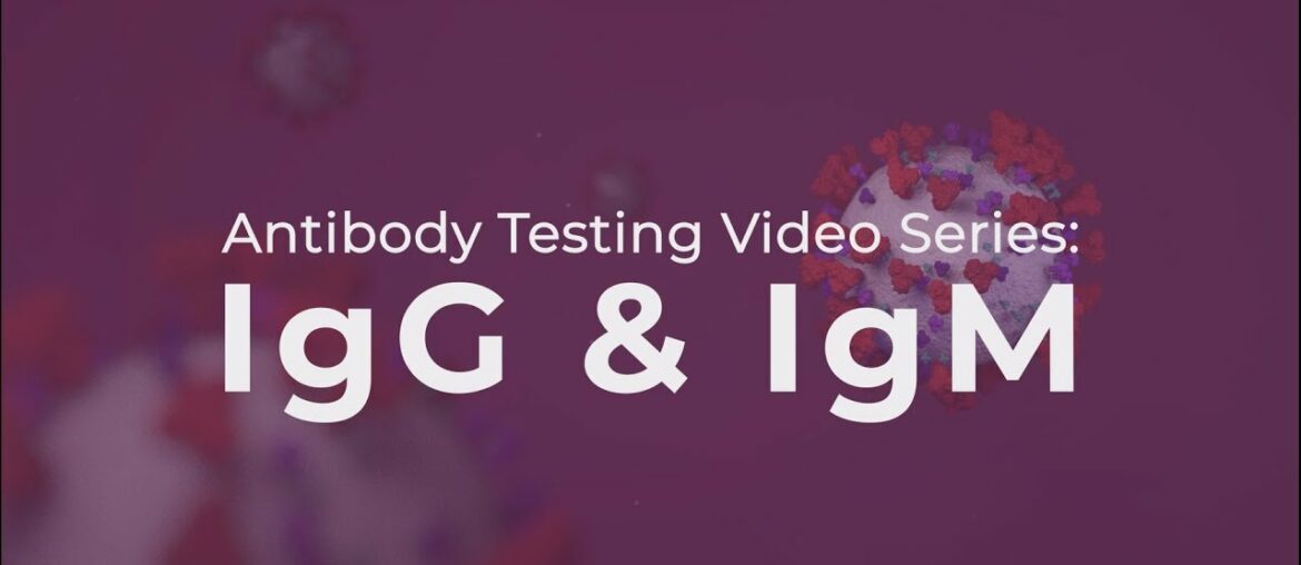 Antibody Testing Video Series: IgG and IgM