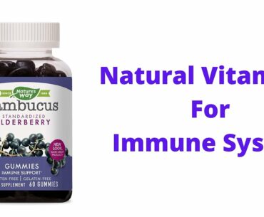 Natural Sambucus Elderberry Gummies |Herbal Supplements with Vitamin C and Zinc