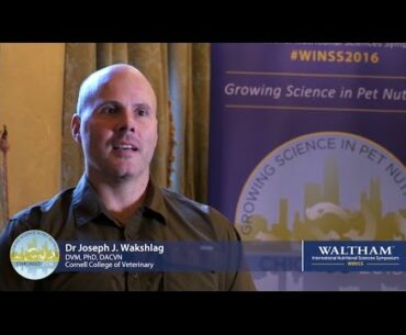 Do cats and dogs need Vitamin D supplementation?