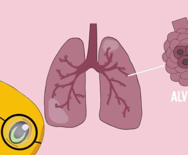 Breakthrough Junior Challenge - COVID-19 and the immune system response - Juan Bratti