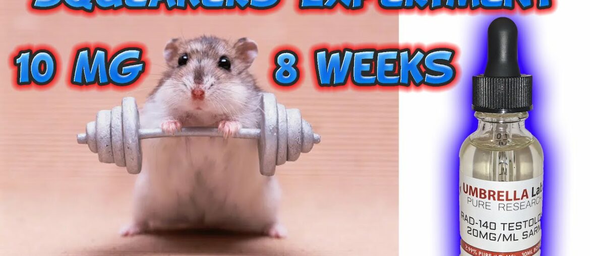 Squeaker's Rad-140 SARM Research Experiment / Going to try a new Joint Pain Treatment!