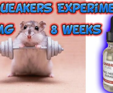 Squeaker's Rad-140 SARM Research Experiment / Going to try a new Joint Pain Treatment!