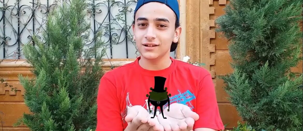 COVID-19: virus mechanism and immunity defences