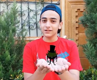 COVID-19: virus mechanism and immunity defences