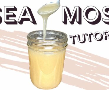 HOW TO MAKE SEA MOSS GEL: Easy Sea Moss Tutorial | Kia Rene