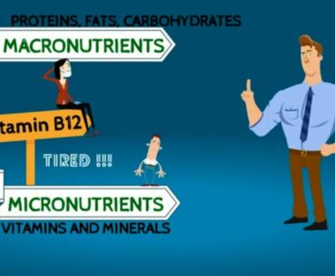 Macronutrients and Micronutrients, Vitamin B12 Deficiency causes Tiredness & Weakness -DO NOT IGNORE