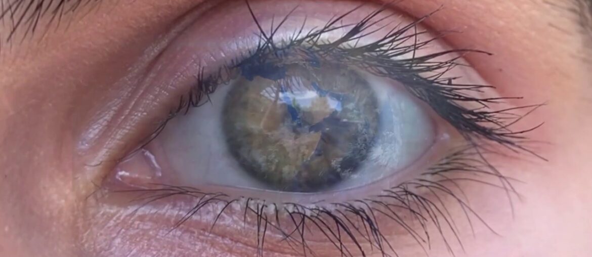 A Closer Look At The Human Immune System | Breakthrough Junior Challenge 2020 | COVID-19