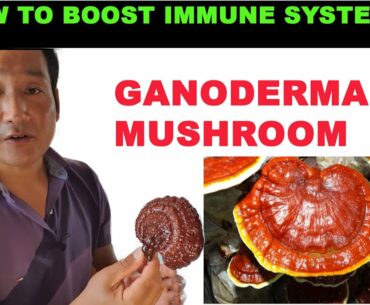 How to boost immunity- how to boost immune system using dxn food supplement