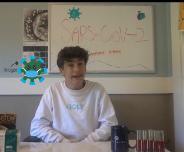 The immune response: in the alveoli      Breakthrough junior challenge 2020