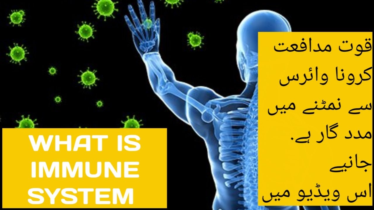 What is immune system/what is relationship b/w COVID-19 & immune system