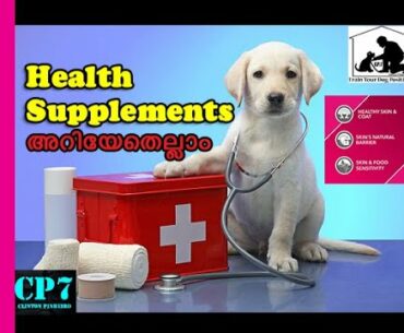 Best Supplements For Dog : Multivitamin : Food And Diet : Malayalam
